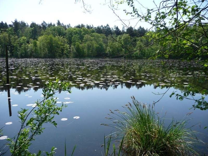 rietveld, &copy; Martin Neumann