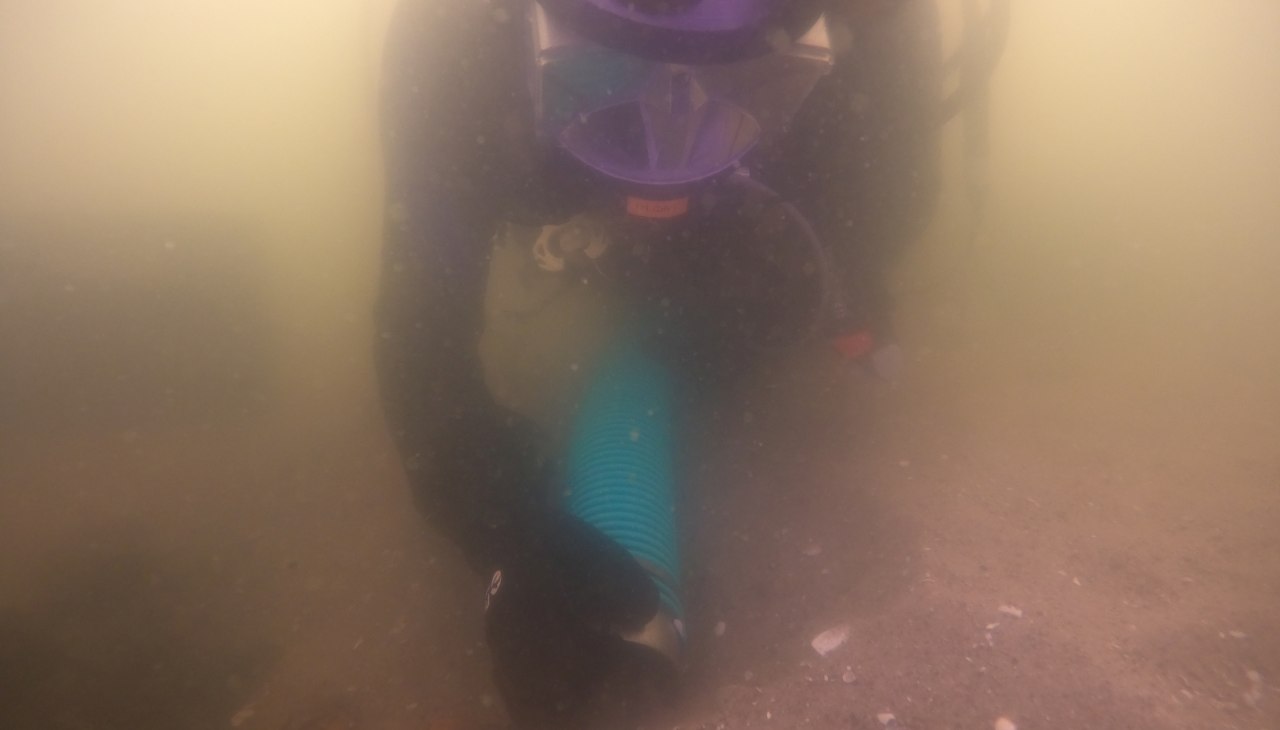 &copy; Foto: Dr. Jens Auer