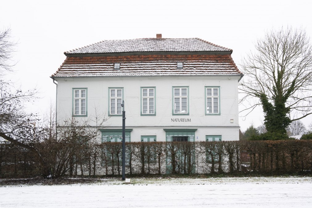 _SAM6874, © Stadt Ludwigslust