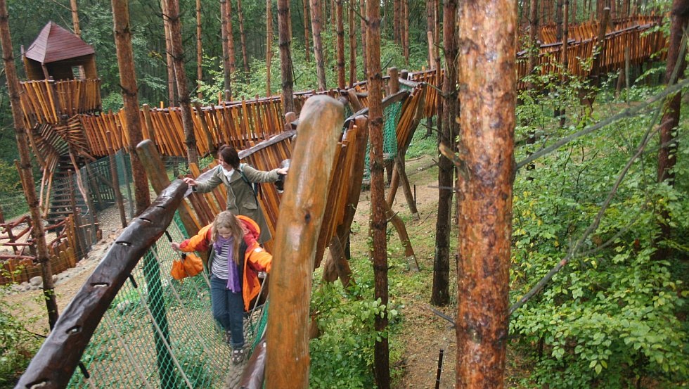 Avontuurlijke klimpaden leiden door het vleesetende vlakke aandeel, © Wildpark-MV