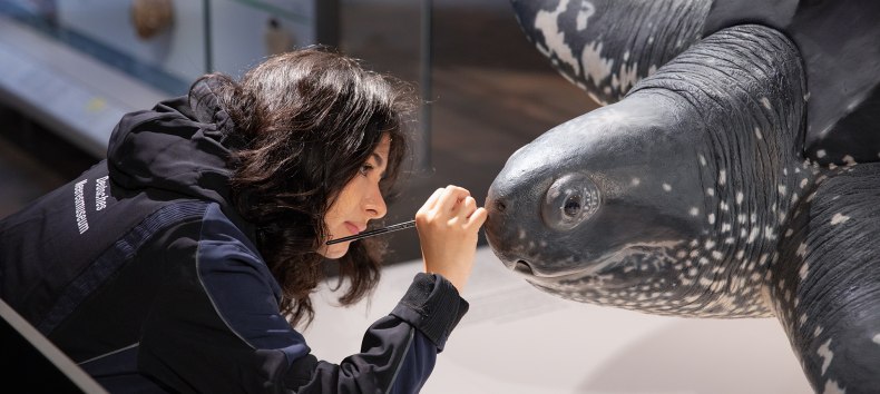 © Anke Neumeister/Deutsches Meeresmuseum