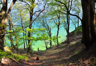 &copy; Nationalparkamt Vorpommern