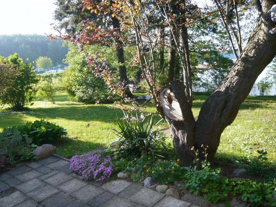 The view over the property from the barbecue area, © P. Kohlmann