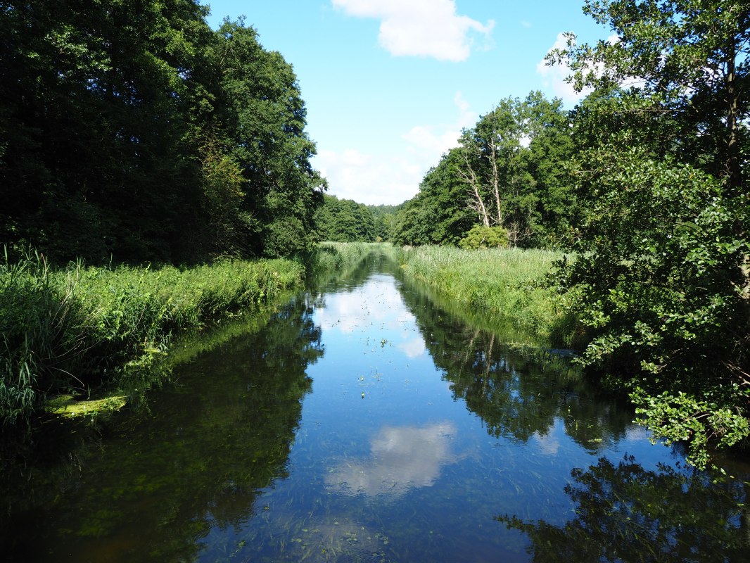 Warnow koło Kaarz // &copy; Naturpark Sternberger Seenland; Volker Brandt