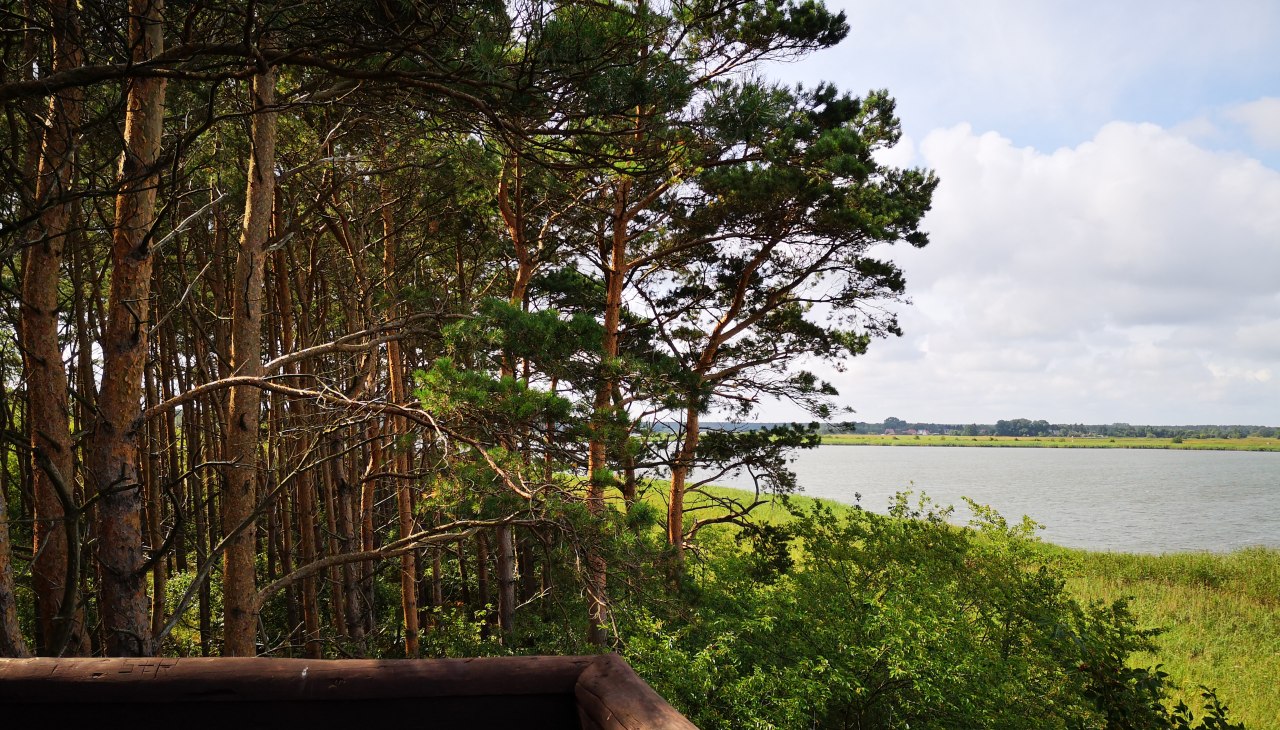 highseat-fuchsberg_barth_nicole-paszehr-2 highseat-fuchsberg_barth_nicole-paszehr-2