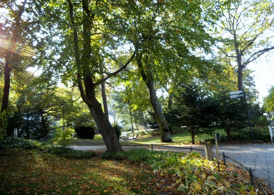 The spa park in the Baltic resort Binz., &copy; Tourismuszentrale R&uuml;gen