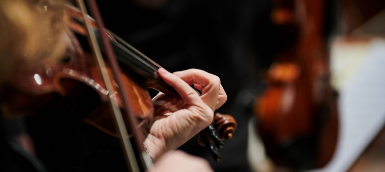 &copy; Mirco Dalchow