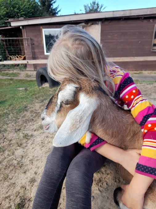 Our little Burderei, © Andrea Hauser