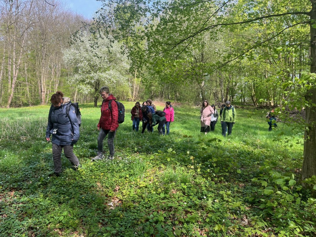 Kruidenwandeling, &copy; Petra Dittmar