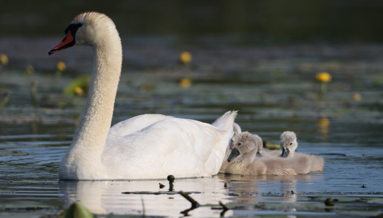 Wrażenia z jednodniowej wycieczki, © Corina Posselt Wrażenia z jednodniowej wycieczki, © Corina Posselt