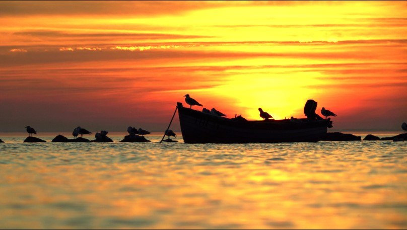 KLZ boat birds sunset offermann, © Nico Offermann