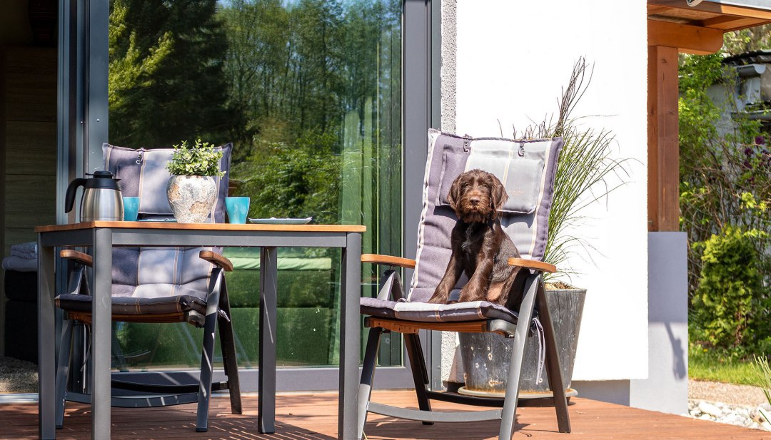 Vacation with a dog in Mecklenburg-Vorpommern, © K&amp;K Ferienimmobilien