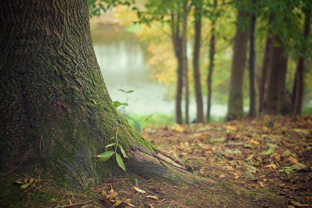 © (c) pixabay