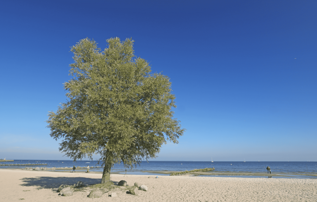 Beach, © TMV/Gohlke