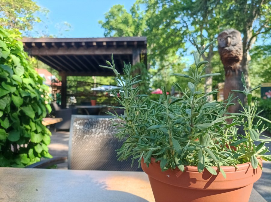 Terrace, &copy; Schl&ouml;sschen Sundische Wiese