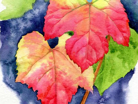 © Jenny Thalheim © Jenny Thalheim