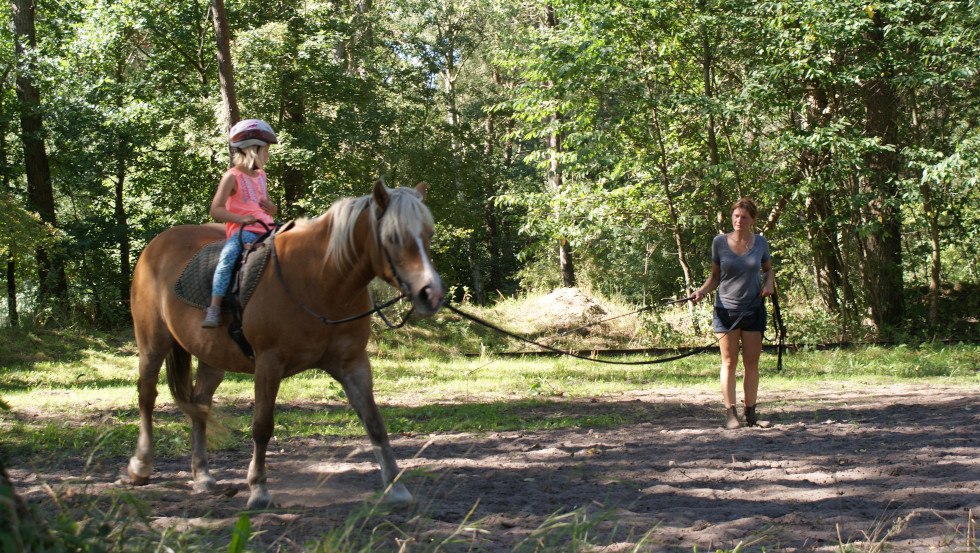 Lunge lesson for children // &copy; Hof Jaddatz