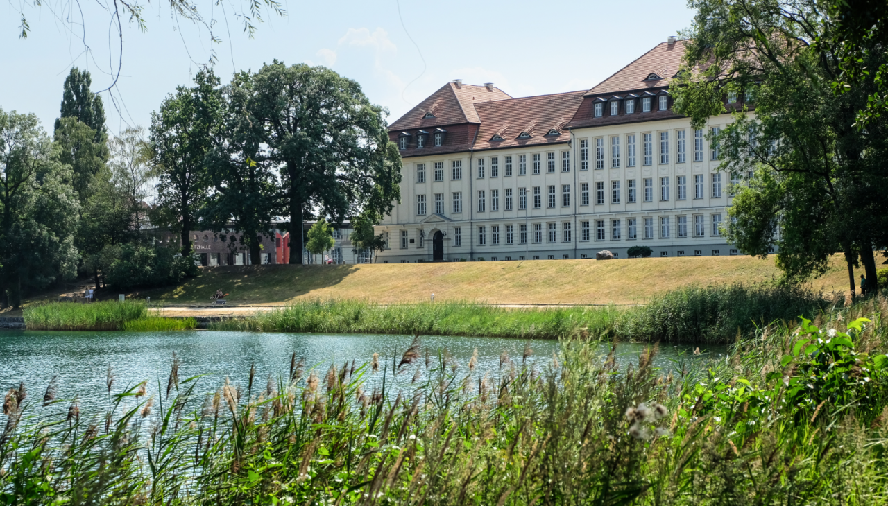 2025-03-27 14_08_52-neustrelitz-haerter-55.JPG - IrfanView (Zoom_ 1569 x 1046), © Stadt Neustrelitz