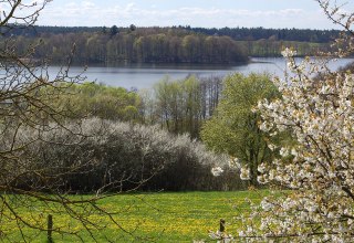 © S.Hoffmeister © S.Hoffmeister