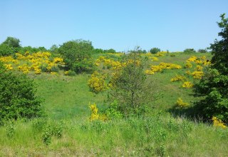 &copy; Biosph&auml;renreservatsamt S&uuml;dost-R&uuml;gen