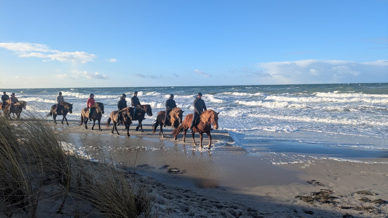 Paardrijden op het strand van de Oostzee // &copy; Islandpferdehof Fischland