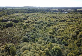 Climate Forest Biosphere Reserve Schaalsee // © Landesforst MV Climate Forest Biosphere Reserve Schaalsee // © Landesforst MV