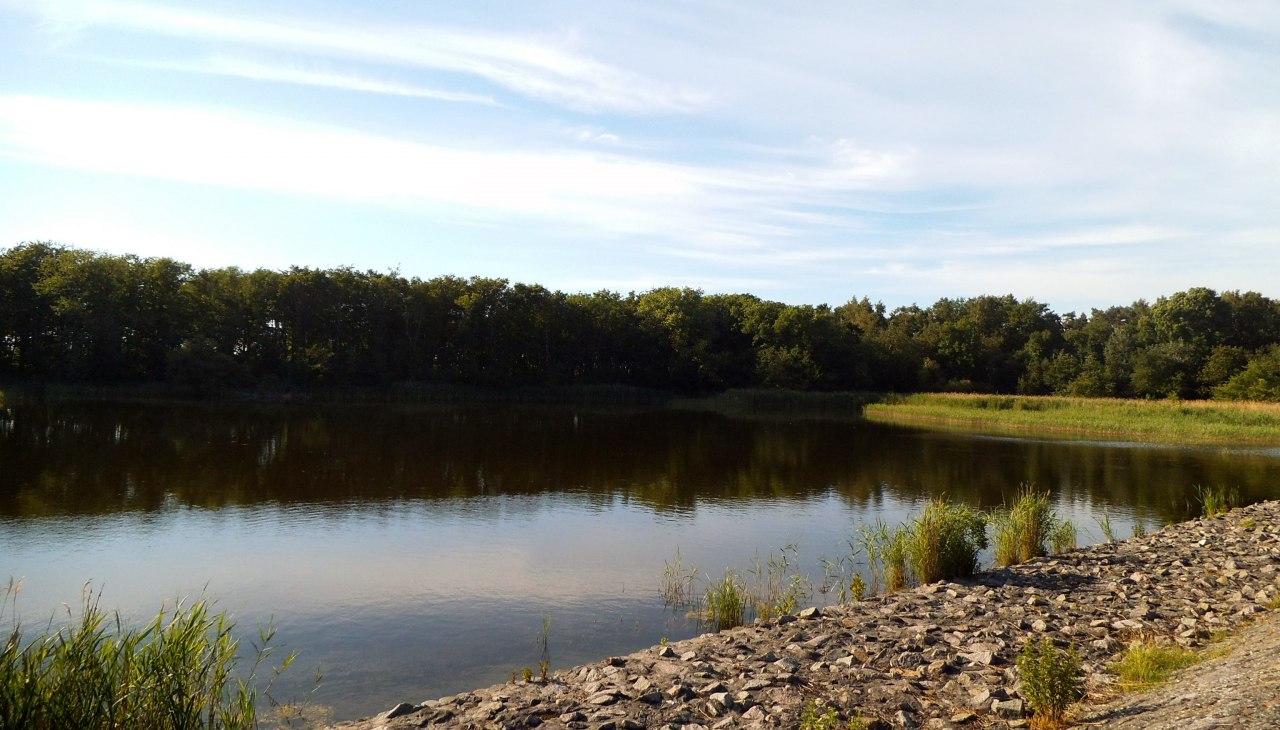 Stonewall zwarte piet, © Heike Seelenbinder