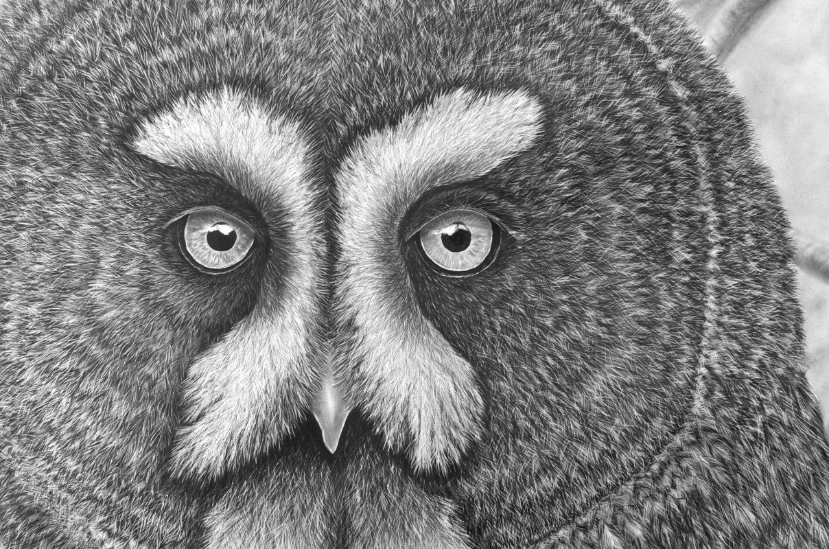 Pencil drawing by Ralf Wilhelm Schmidt // &copy; Ralf Wilhelm Schmidt/M&uuml;ritzeum