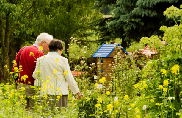 Open gardens Screenshot 2025-05-22 160557, © 2015-25 Aktion "Offene Gärten in MV"