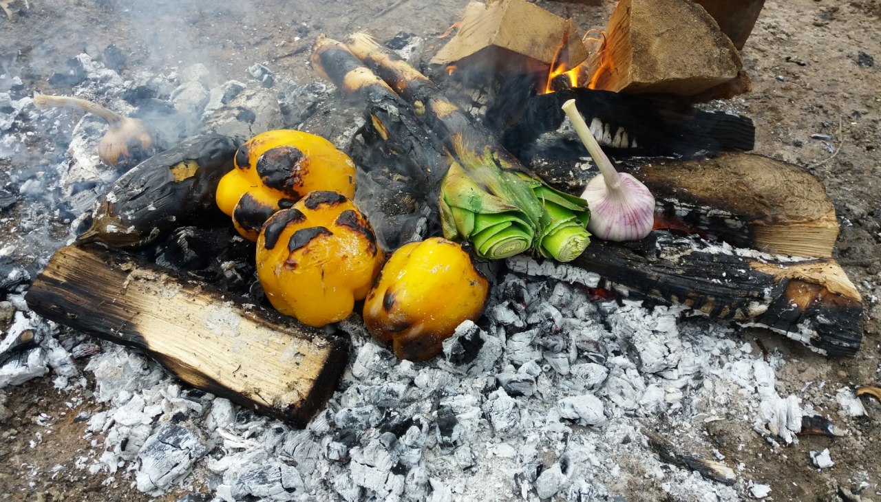 Groenten uit de sintels, &copy; Martin Hagemann