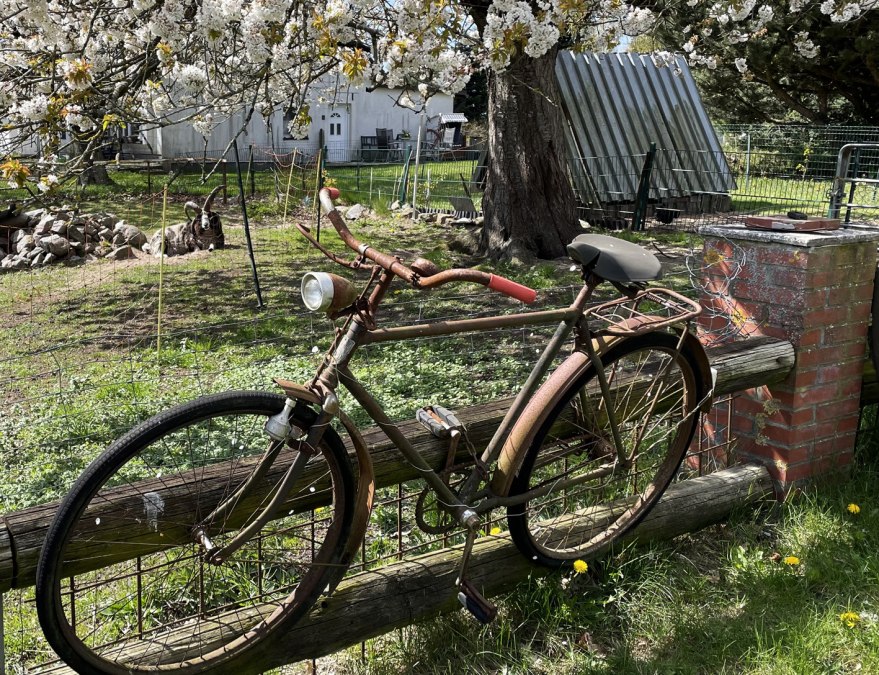 Fiets 1, © Südliche Boddenküste Fiets 1, © Südliche Boddenküste