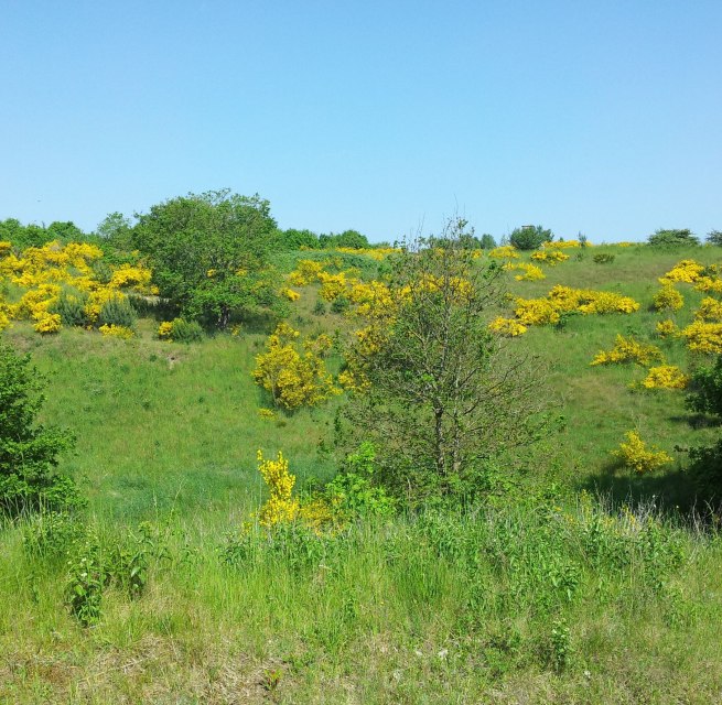 &copy; Biosph&auml;renreservatsamt S&uuml;dost-R&uuml;gen