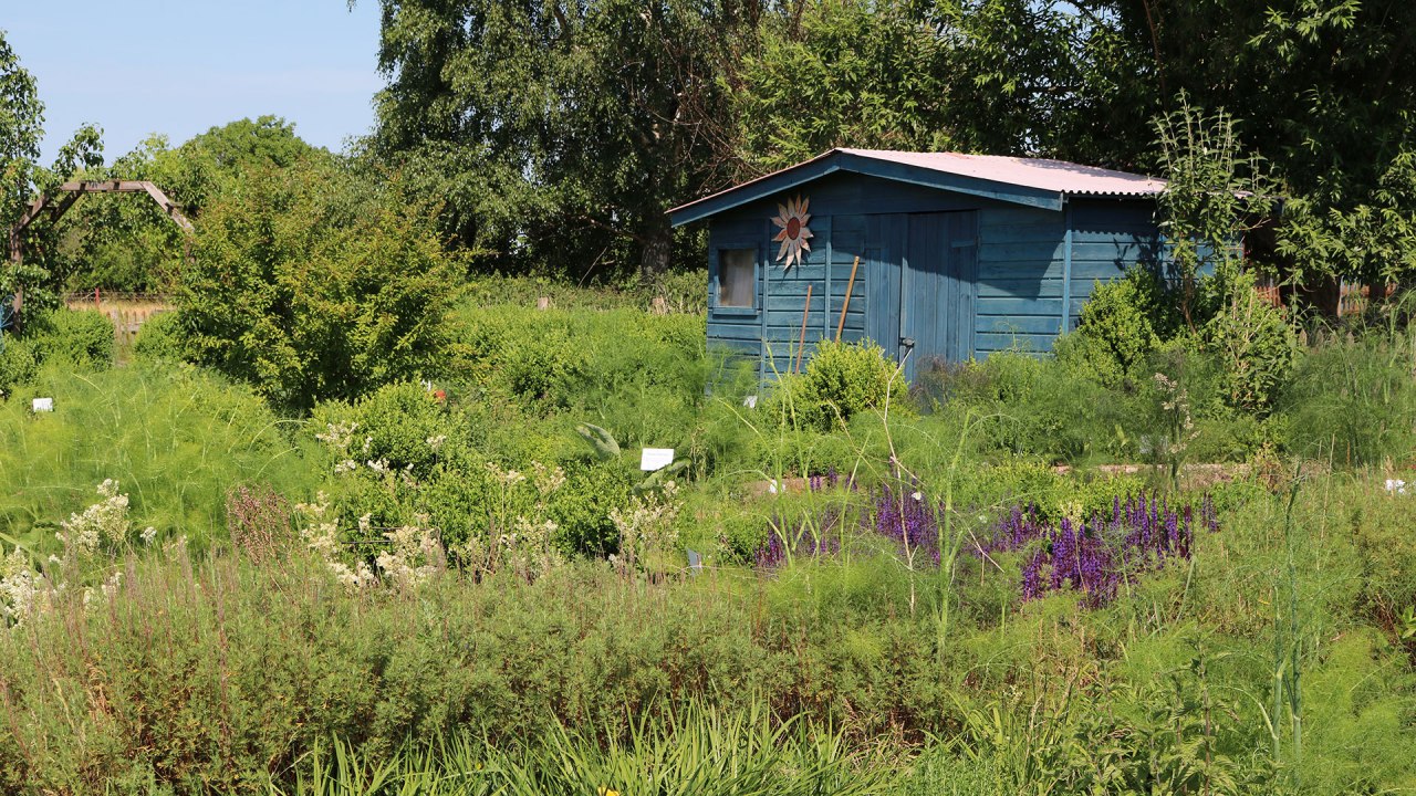 Luplow herb nursery // &copy; Silke Voss