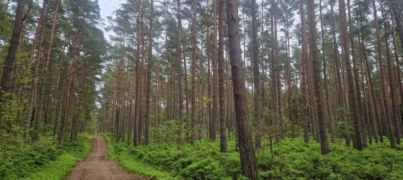 © Kurverwaltung Goehren © Kurverwaltung Goehren