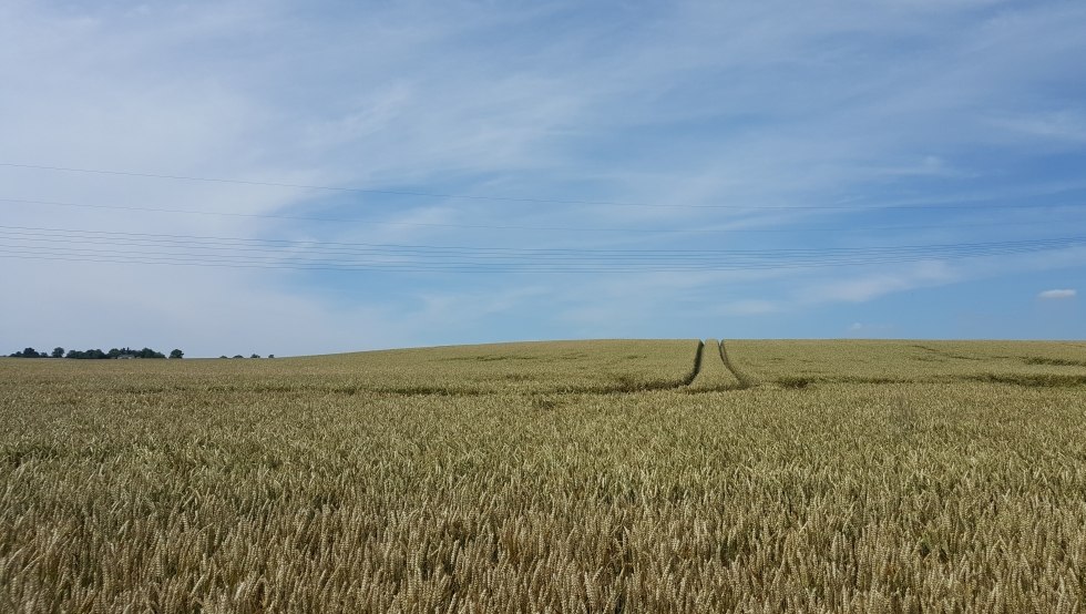 Ścieżki do horyzontu // &copy; MV-T/UB