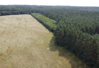 © Landesforst MV © Landesforst MV