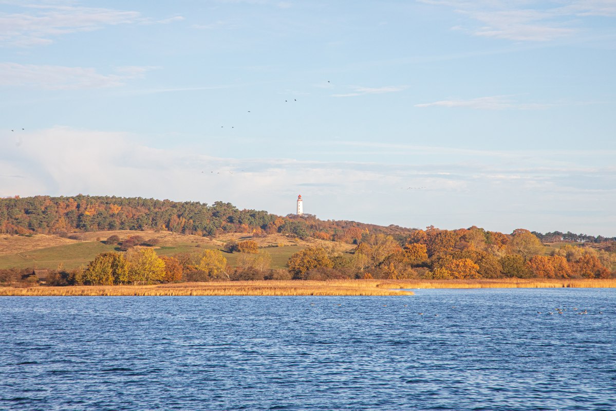 © Weiße Flotte GmbH © Weiße Flotte GmbH