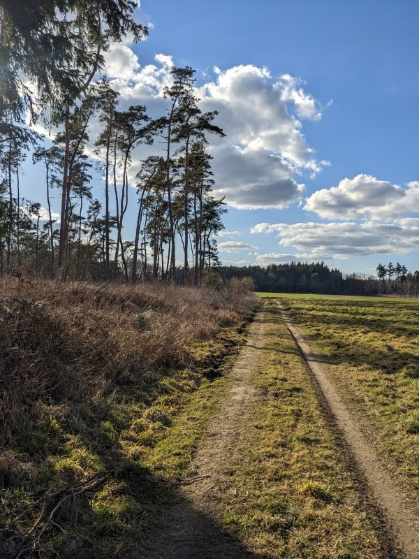 Section of the route at the Peene meadows // &copy; Vincent-Gregor Schulze