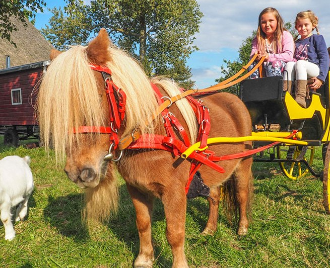 The new play floor in the open-air museum Klockenhagen // &copy; Freilichtmuseum Klockenhagen