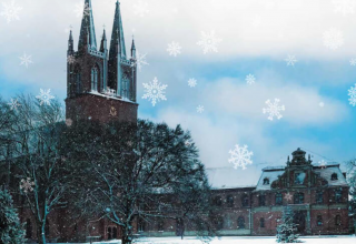© https://kloster-dobbertin.de/events/adventsmarkt-dobbertin-2026-kloster-dobbertin-28-11/ © https://kloster-dobbertin.de/events/adventsmarkt-dobbertin-2026-kloster-dobbertin-28-11/