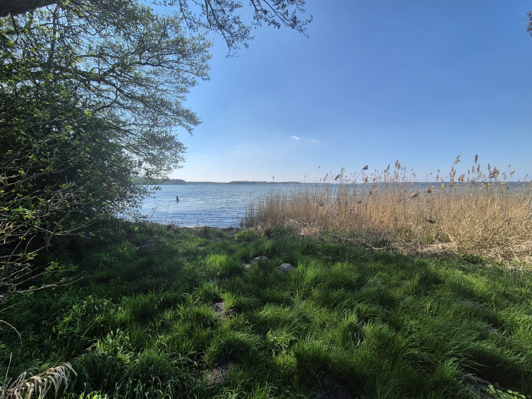 © Gina Schulenberg © Gina Schulenberg