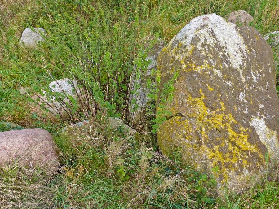 De overblijfselen van een neolithisch megalithisch graf bij Seelvitz, © Archäo Tour Rügen