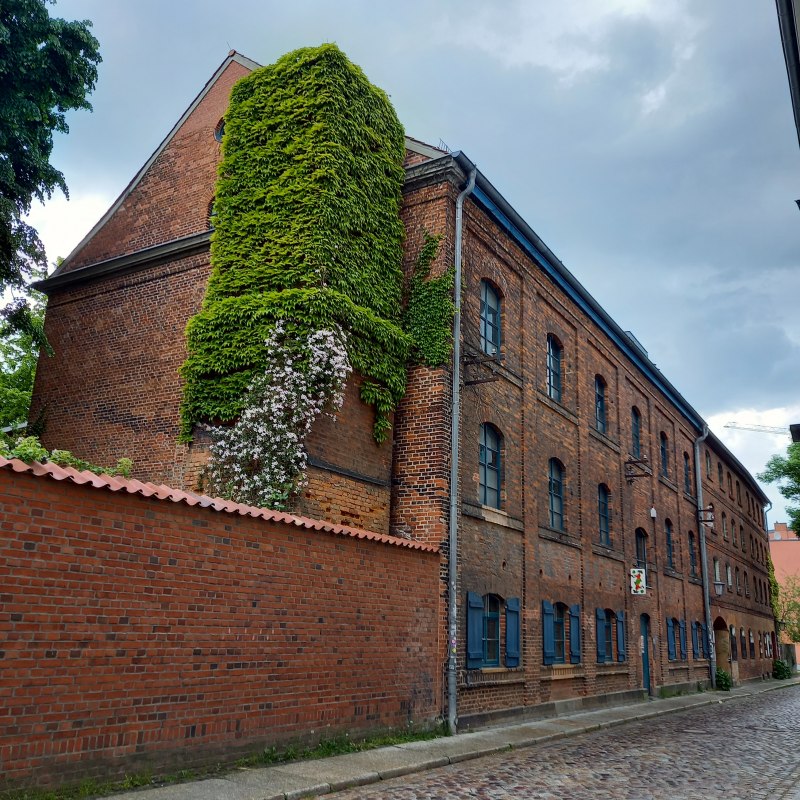 SPEICHER_House for: Culture // &copy; SPEICHER