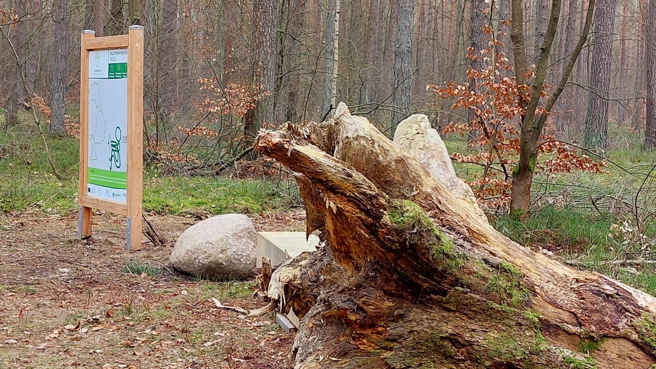 Kurwald 3 t.s., © Waren (Müritz) Kur- und Tourismus GmbH Kurwald 3 t.s., © Waren (Müritz) Kur- und Tourismus GmbH