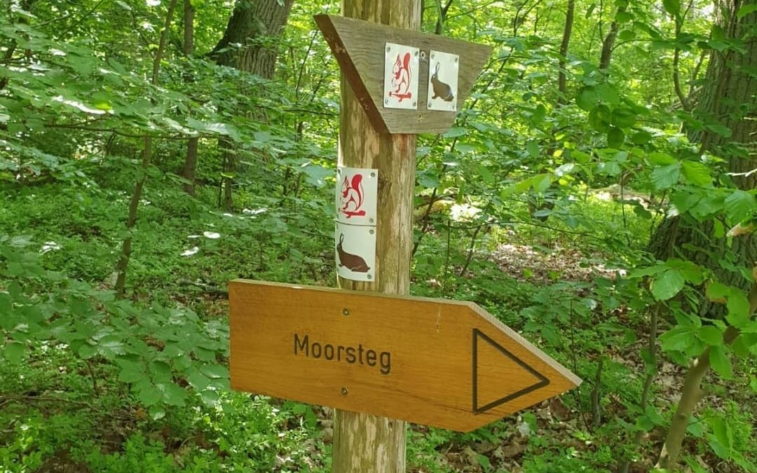 Wienpietsch, © Waren (Müritz)-Information