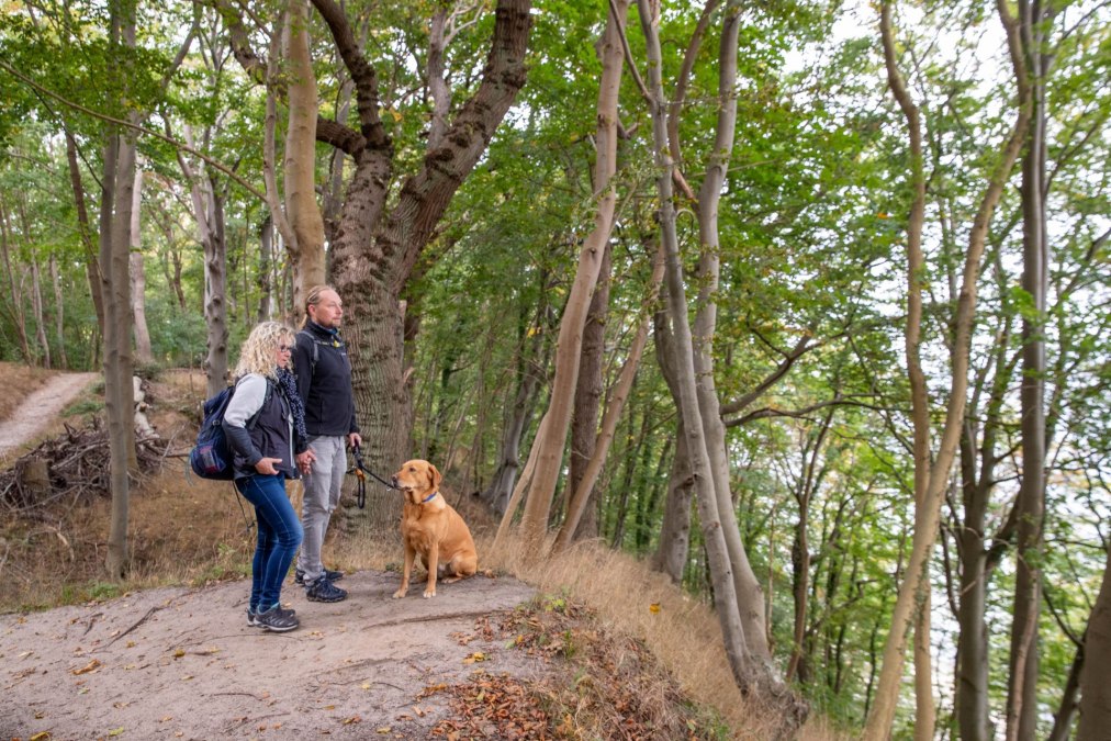 Wandeling hondenmisdaad (c) Kurverwaltung Goehren - Martin Stoever, © Kurverwaltung Goehren / Martin Stoever