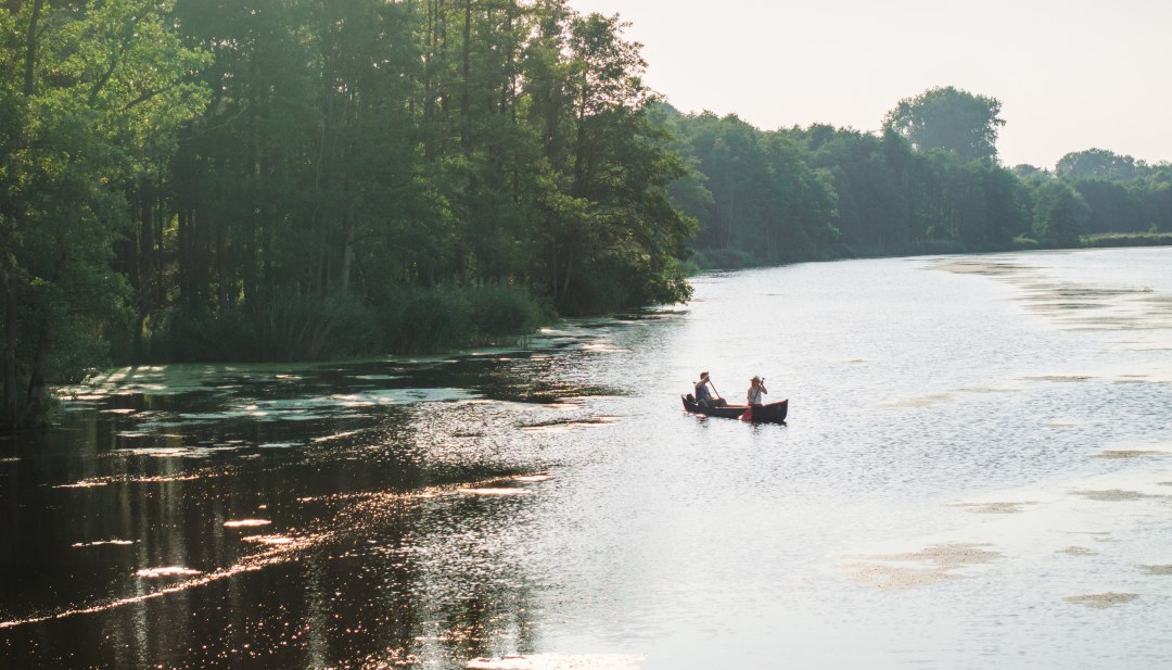 Twee mensen peddelen in een kano op de Peene, omgeven door weelderige natuur en zonovergoten water.