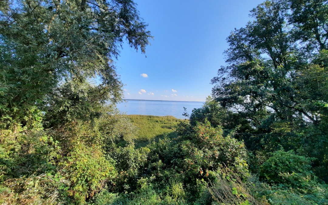 View from the refuge, © Waren (Müritz) Information