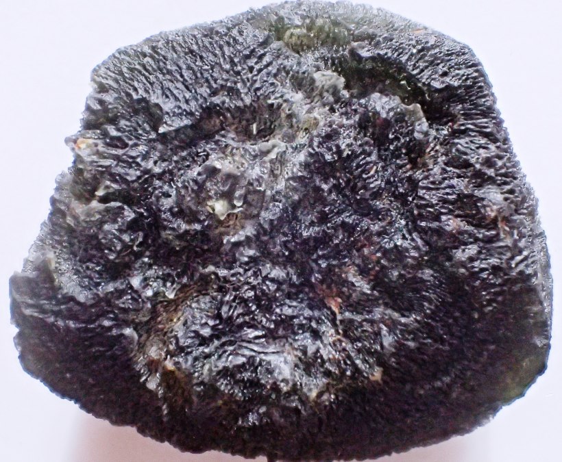 Foto 1, © Dr. Wolfgang Zessin, Jasnitz
