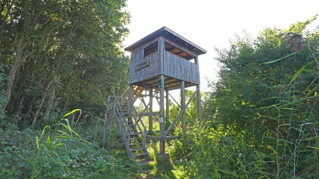 Platforma widokowa Seeadler_2, © TMV/Gohlke